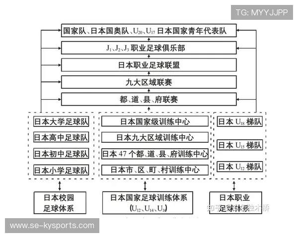 多国推进职业联赛“俱乐部许可制度”，强化财务和青训硬性指标